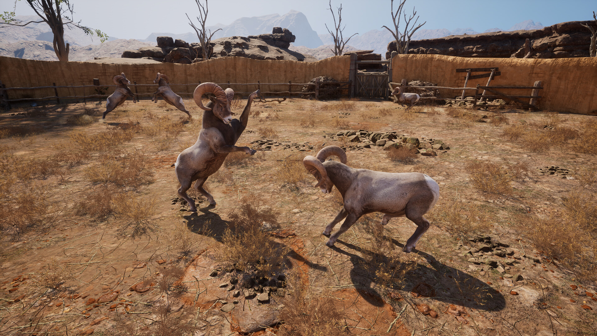 Ram Fights screenshot 12