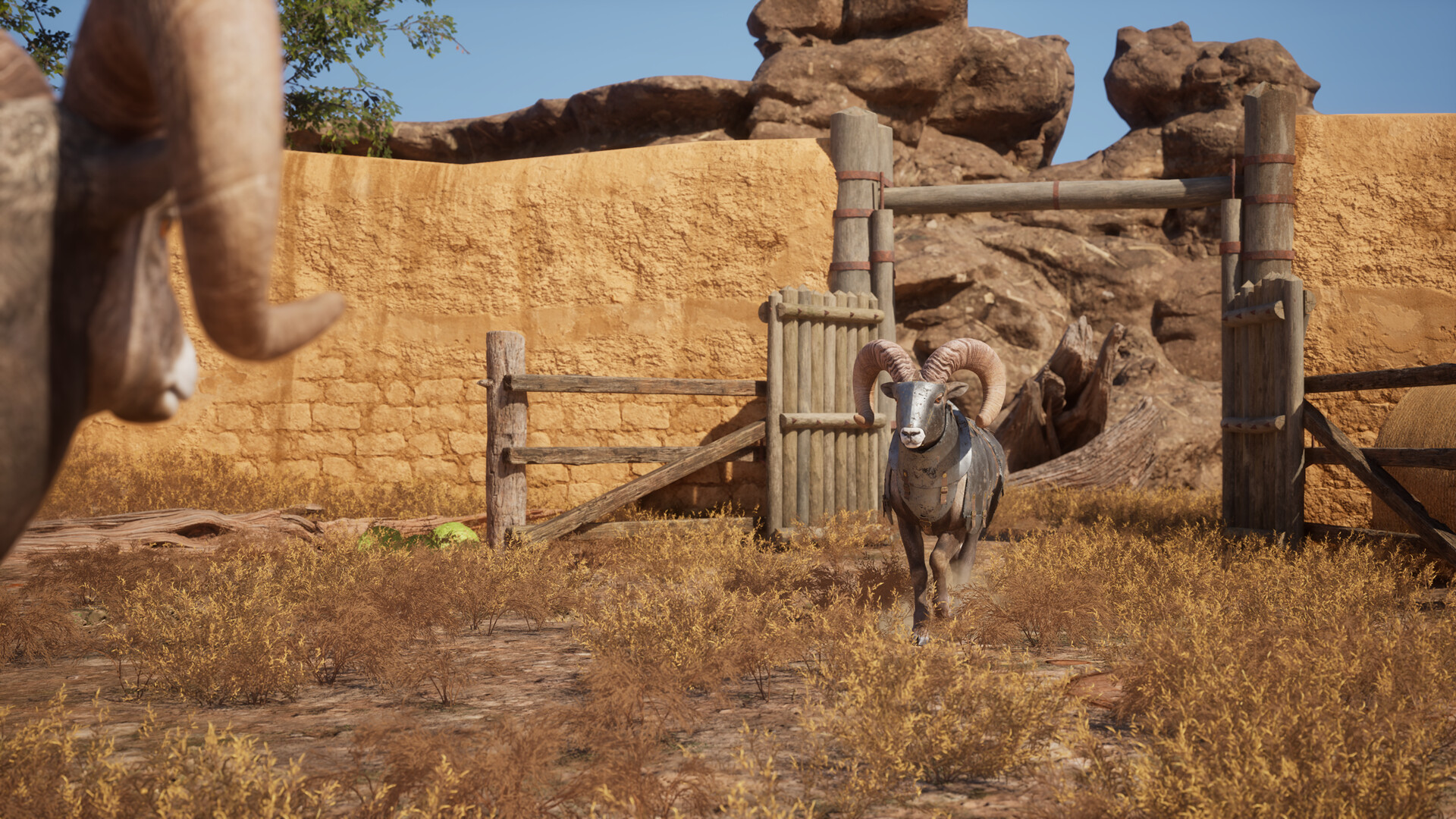 Ram Fights screenshot 9