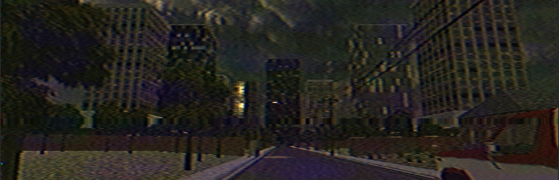 Capsule