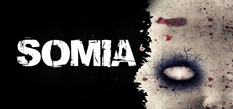 SOMIA — Steam header