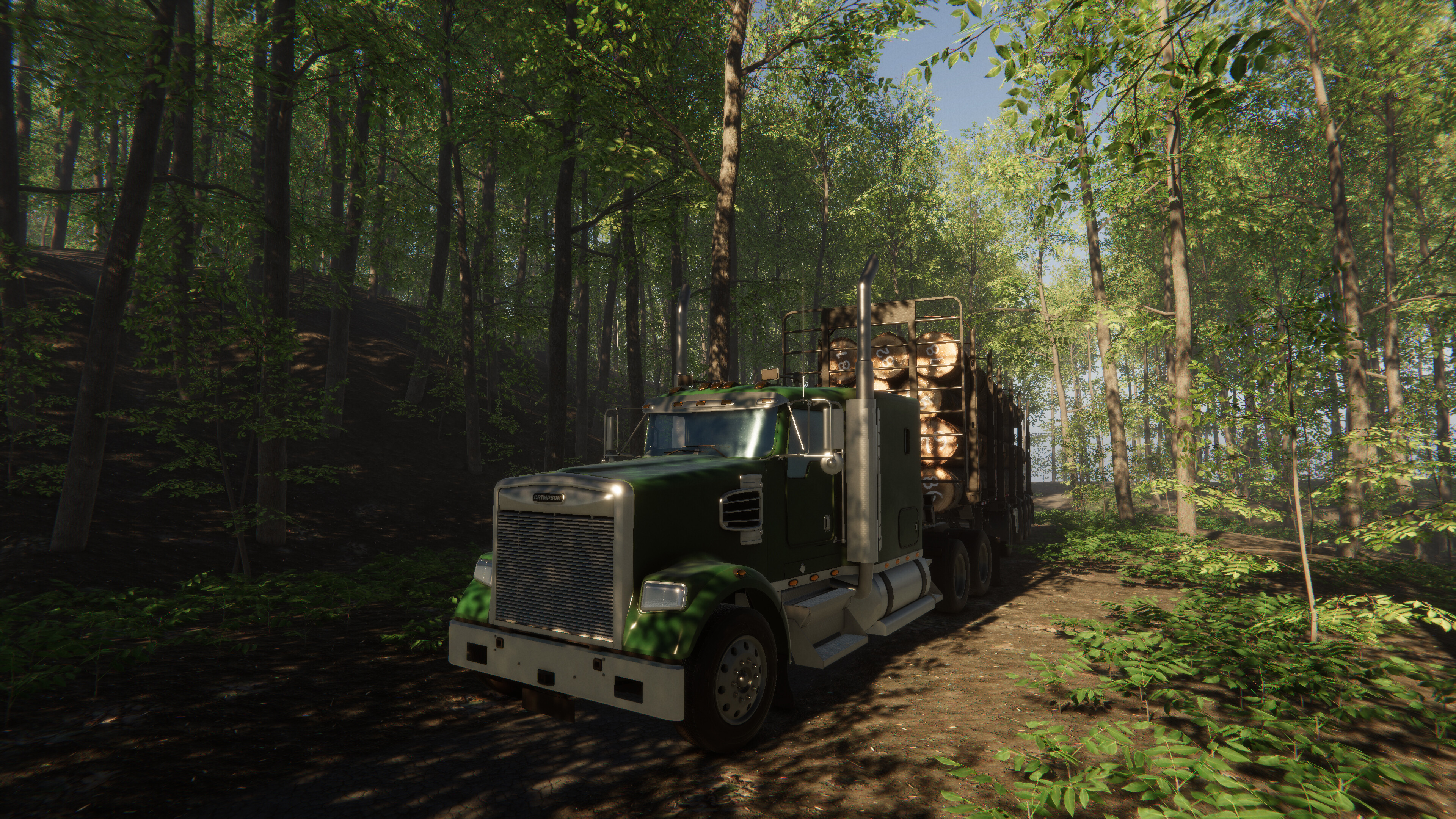 NS Drive Simulator screenshot 1