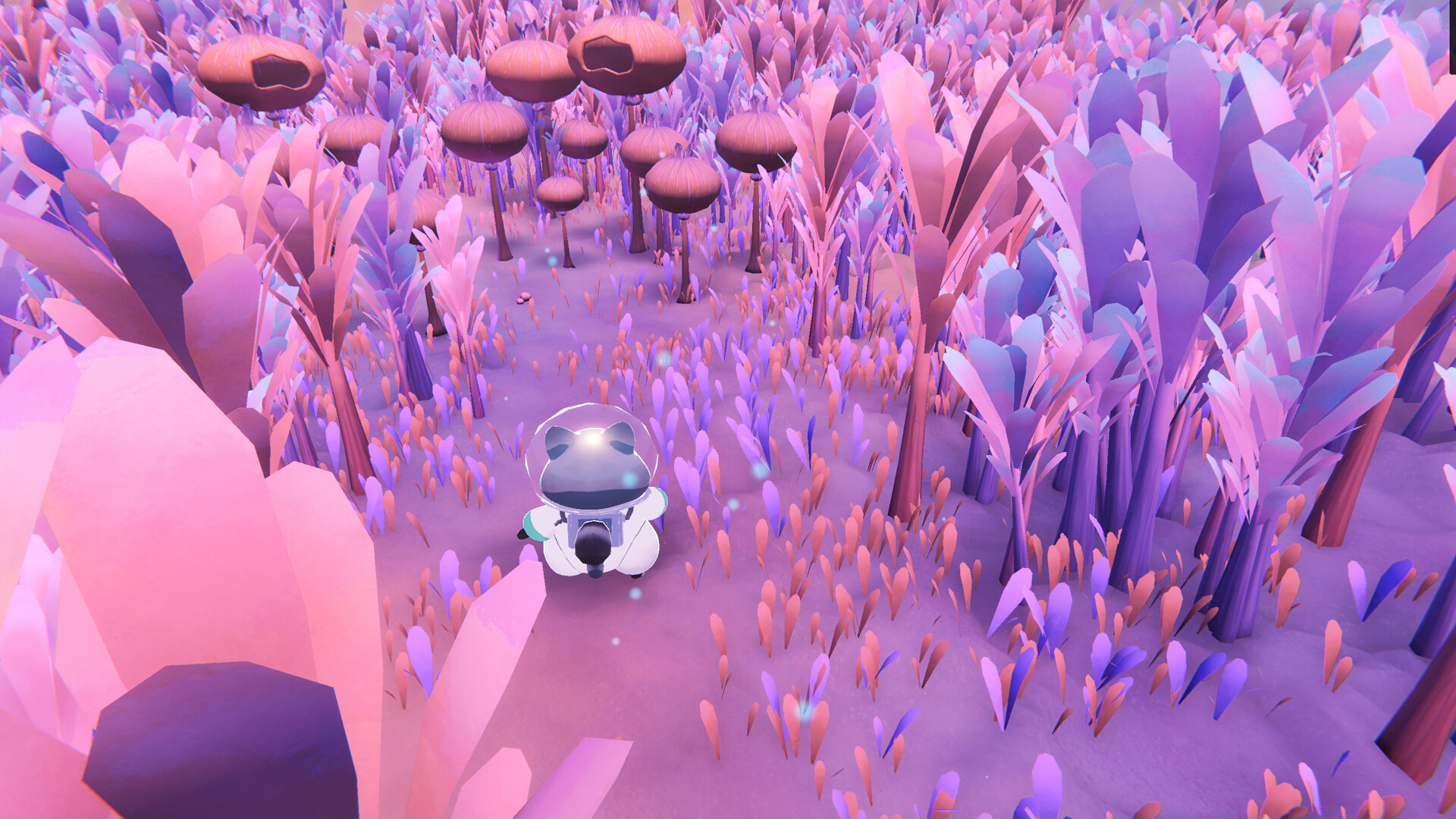 Coffee Raccoons screenshot 16