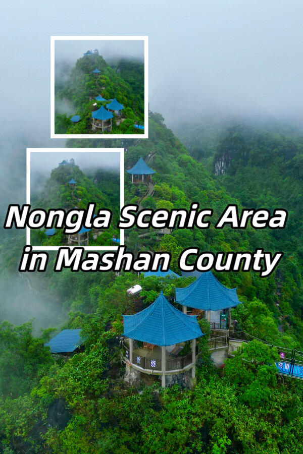 c632711c-4f08-90ca-3375-c2aea8b2f6e4