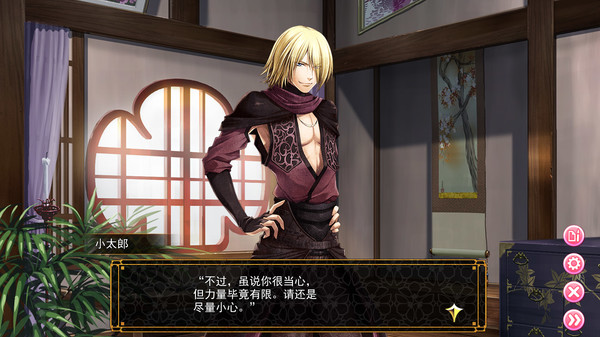 Destiny's Princess: A War Story, A Love Story screenshot