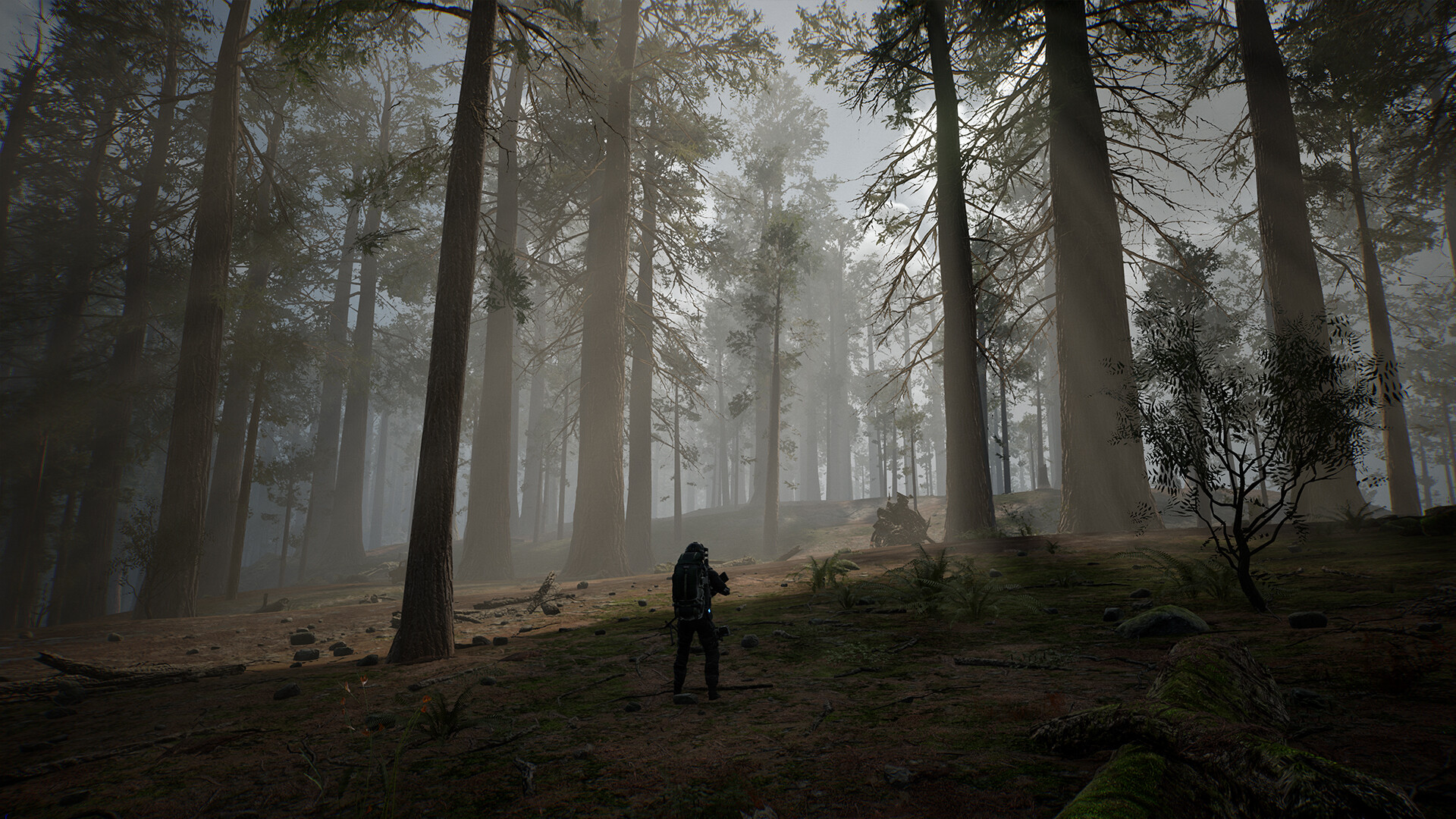 LIFE EFFECT Survival screenshot 6