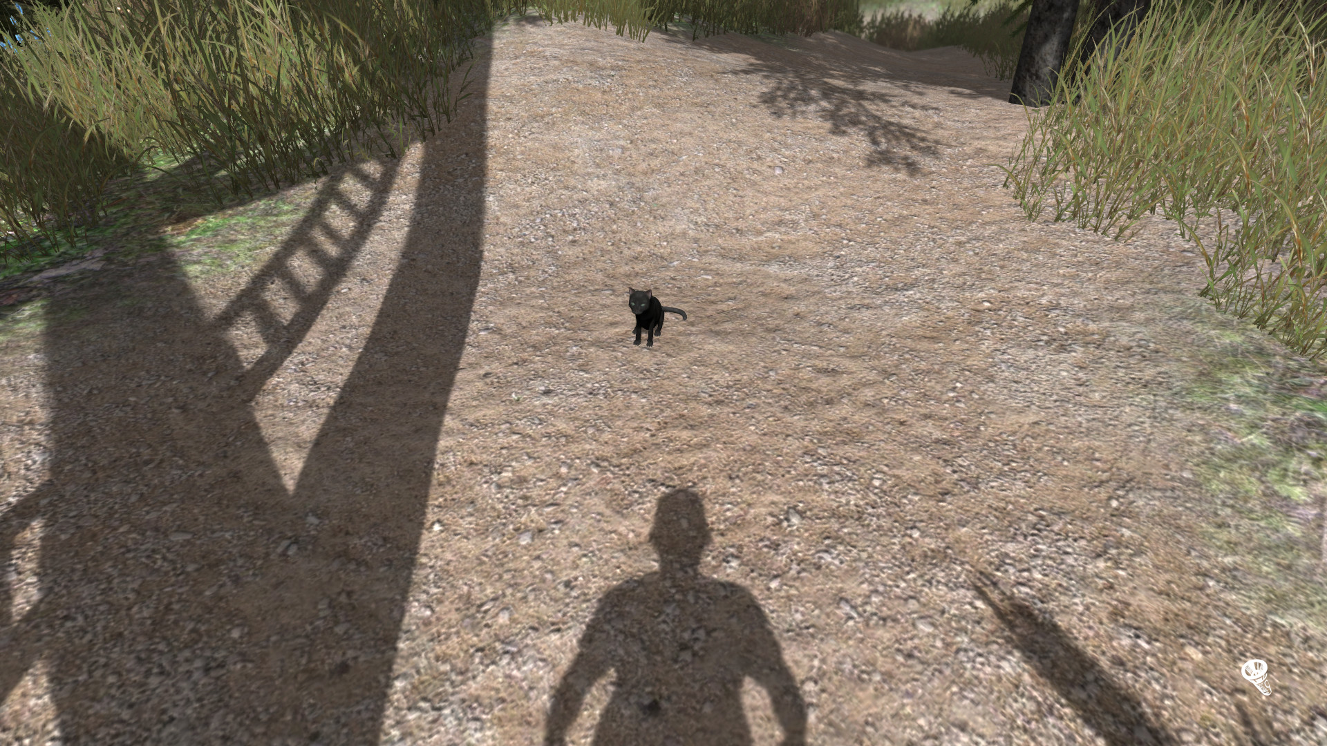 Share screenshot 20