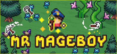 MR MAGEBOY — Steam header