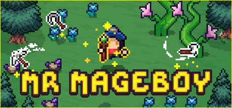 MR MAGEBOY