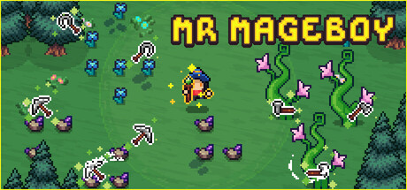 MR MAGEBOY