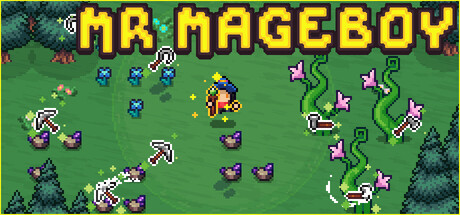MR MAGEBOY banner