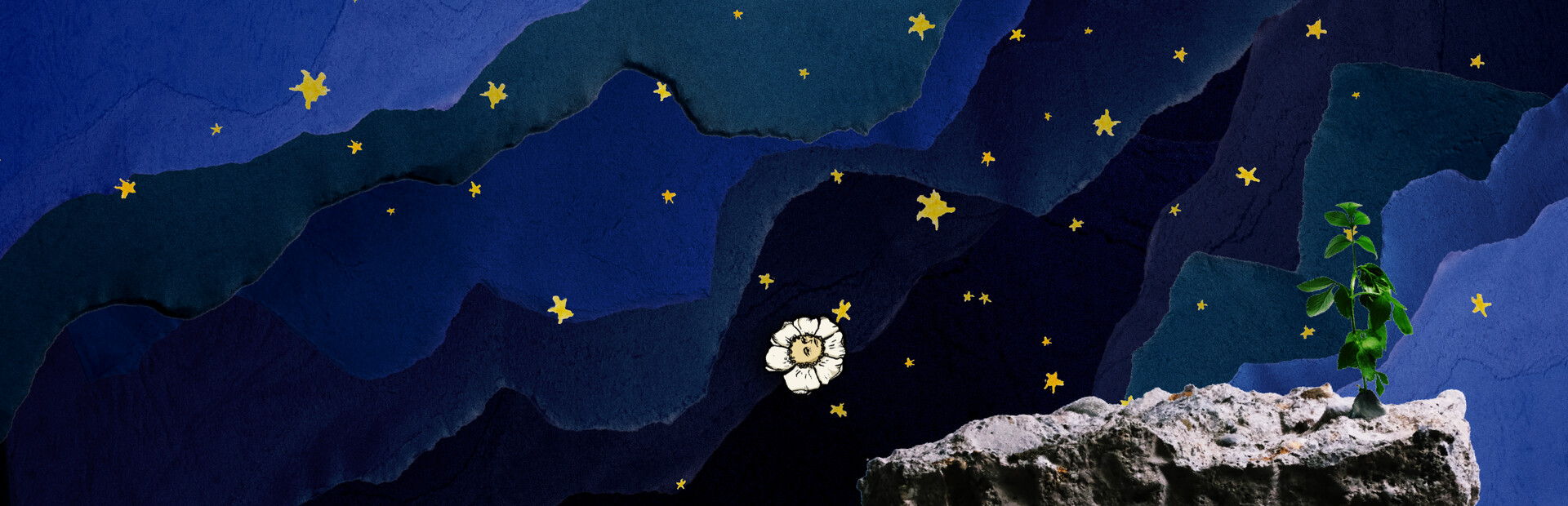 A Lovely Night