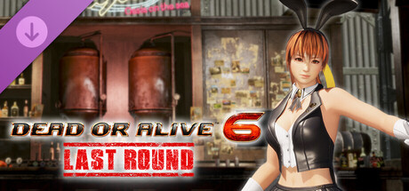 [Revival] Sexy Bunny Costume - Kasumi