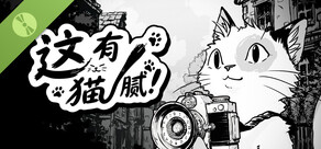 这有猫腻 Demo