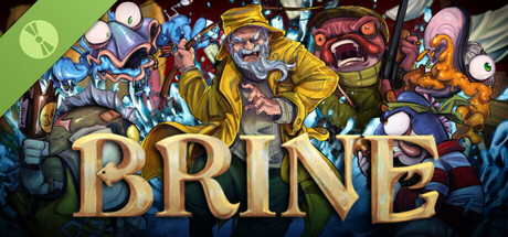 BRINE Demo