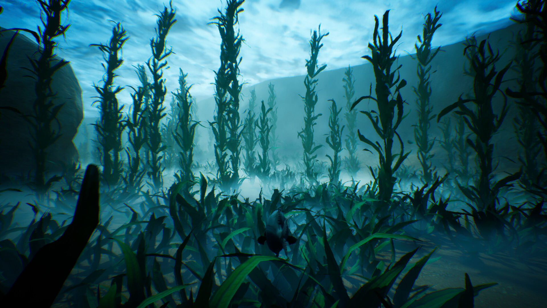 Tidepool screenshot 6