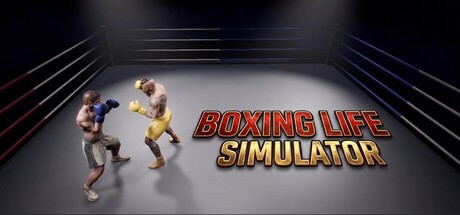 Boxing Life Simulator