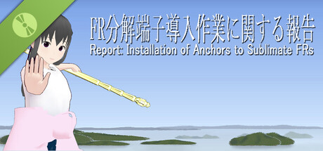 Report: Installation of Anchors to Sublimate FRs - Demo