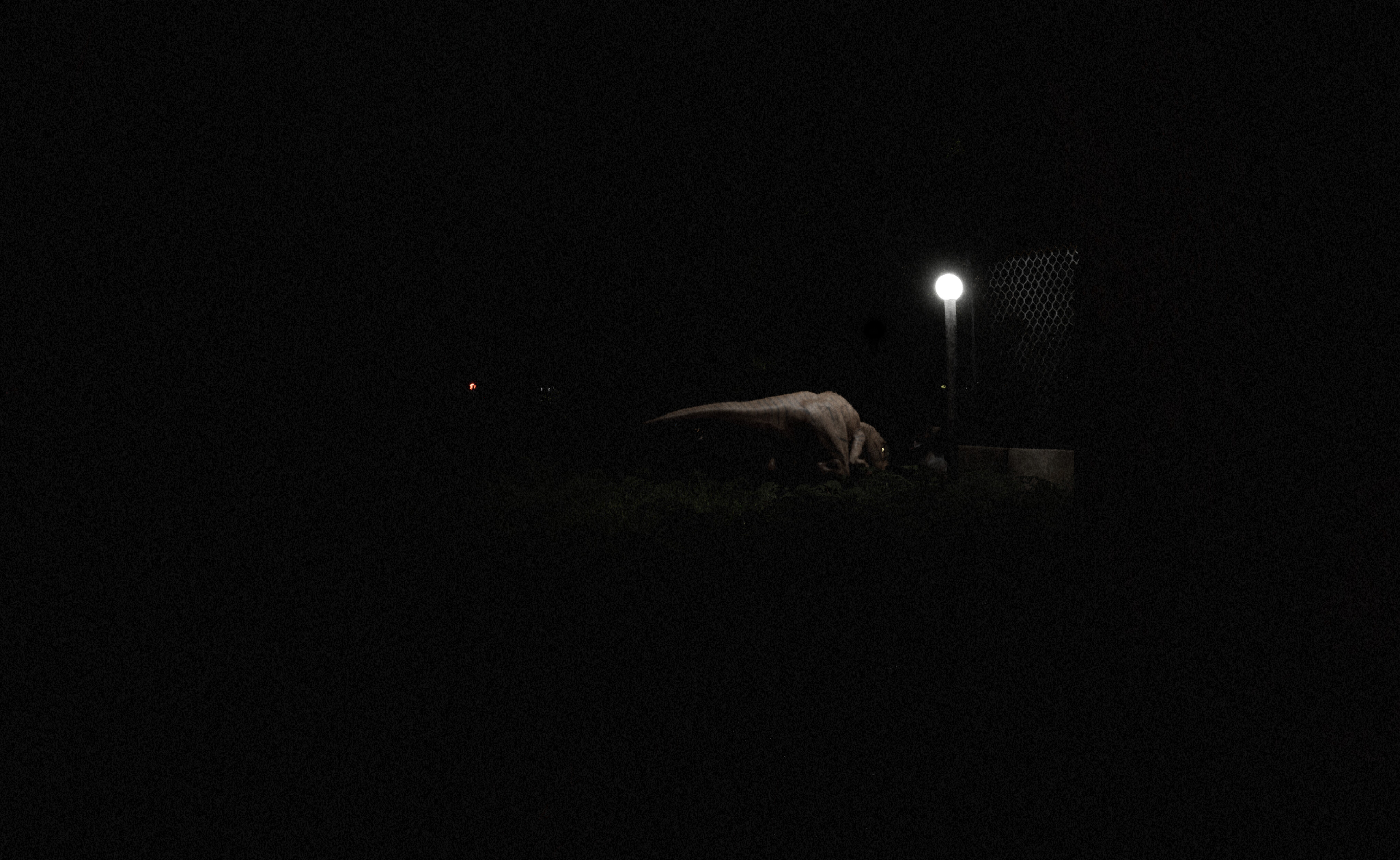 D-Extinction screenshot 12