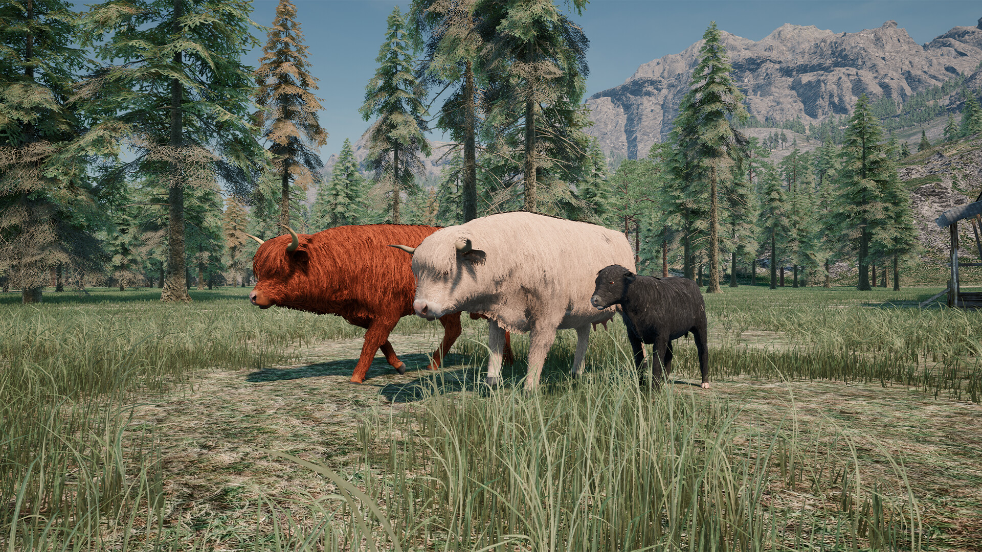 Ranch Simulator: Highland Cows Pack screenshot 3