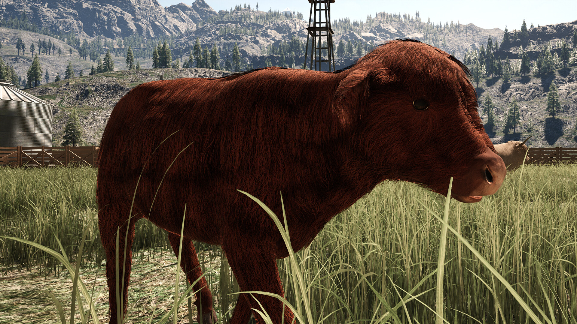 Ranch Simulator: Highland Cow DLC - image 2