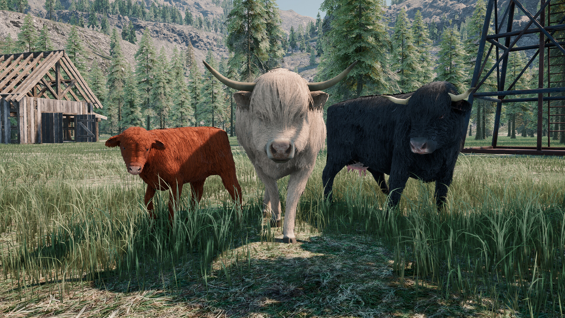 Ranch Simulator: Highland Cows Pack screenshot 5