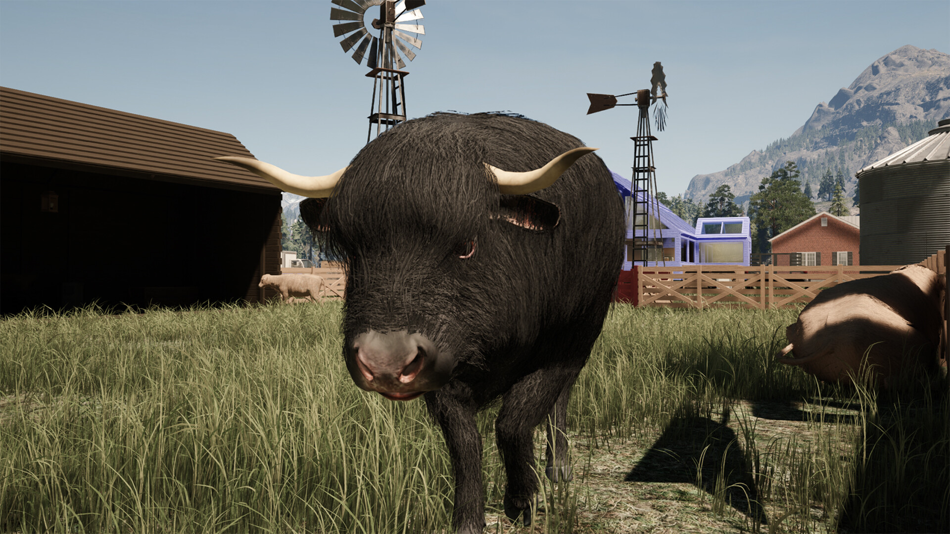 Ranch Simulator: Highland Cows Pack screenshot 6