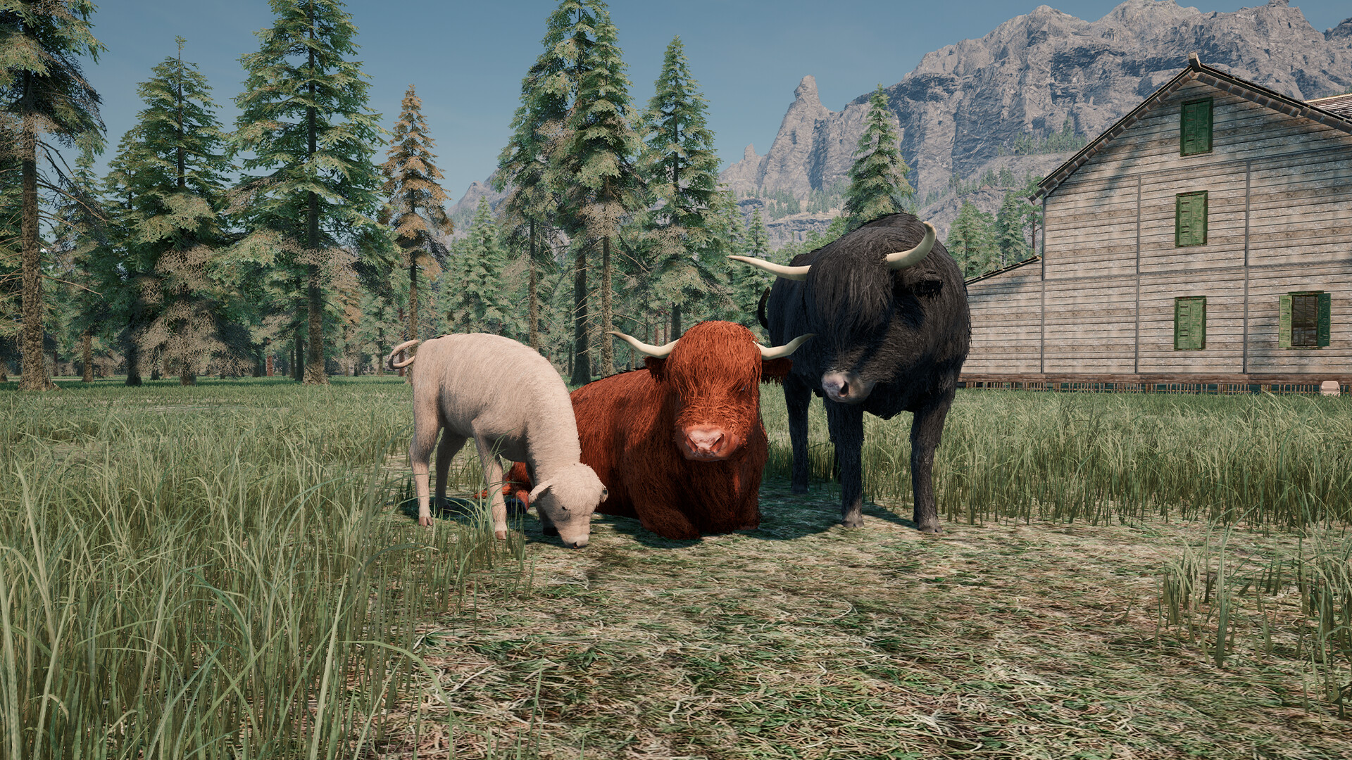 Ranch Simulator: Highland Cows Pack screenshot 1