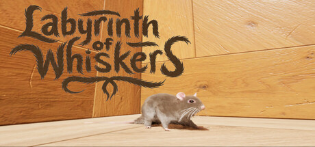 Labyrinth of Whiskers