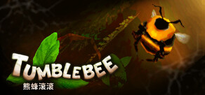 Tumblebee《熊蜂滚滚》