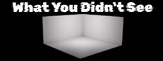 What You Didnt See