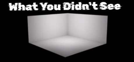 What You Didn't See — Steam header