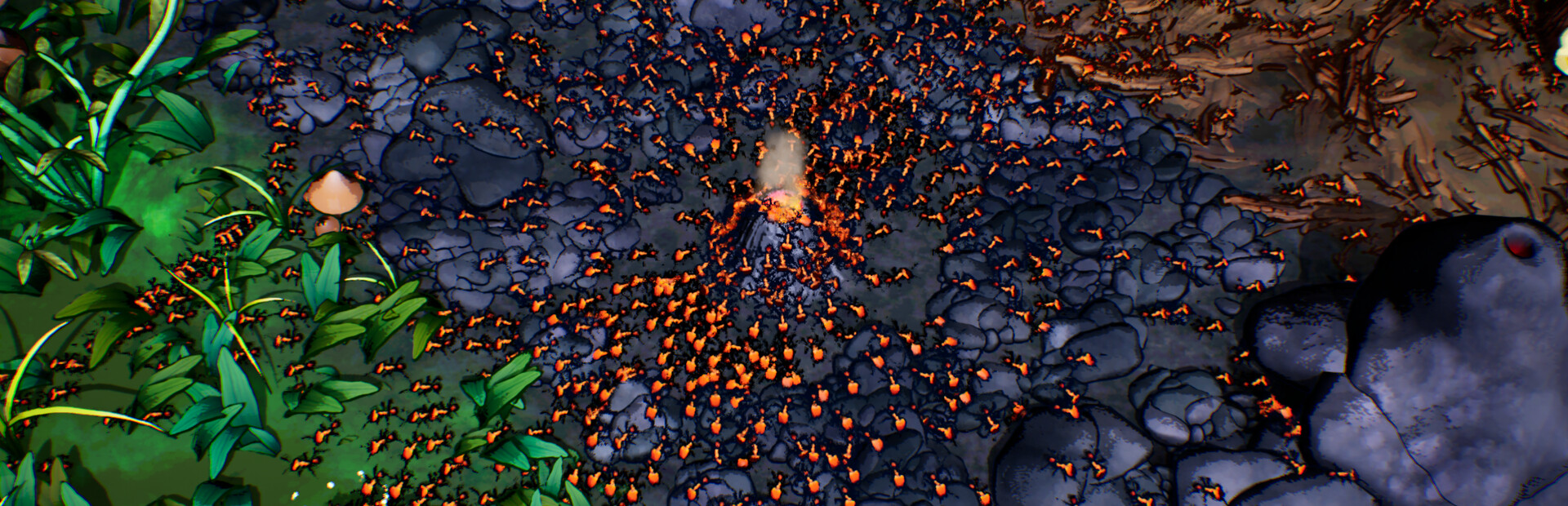 Ants Times Infinity