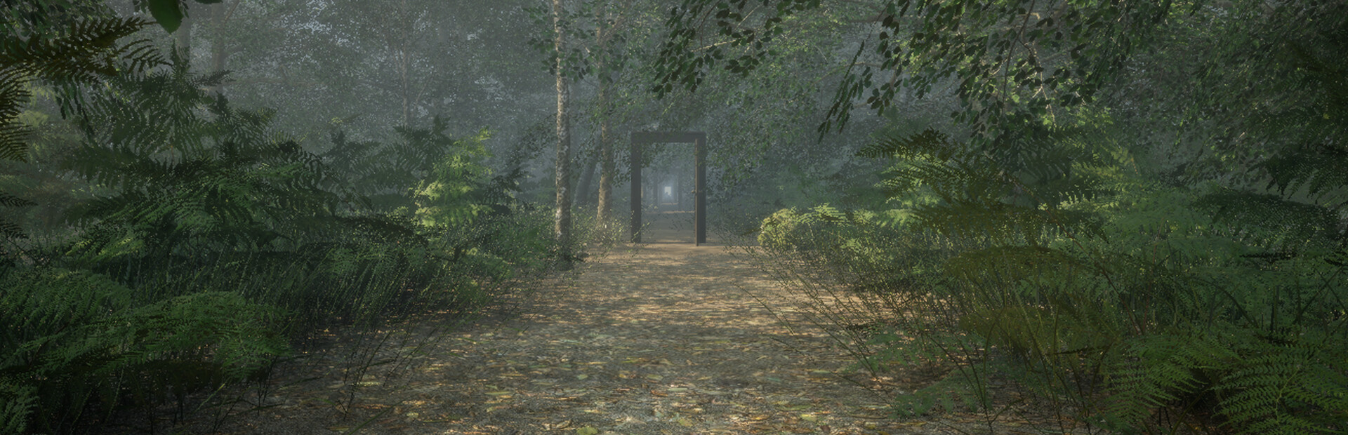 Obey the Rules: Forest