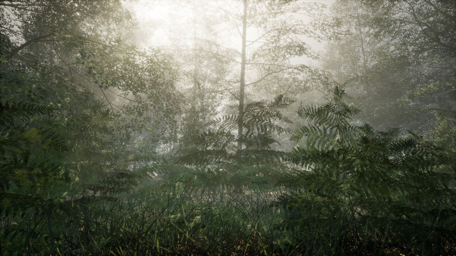 Obey the Rules: Forest screenshot 2