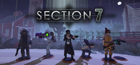 Section 7