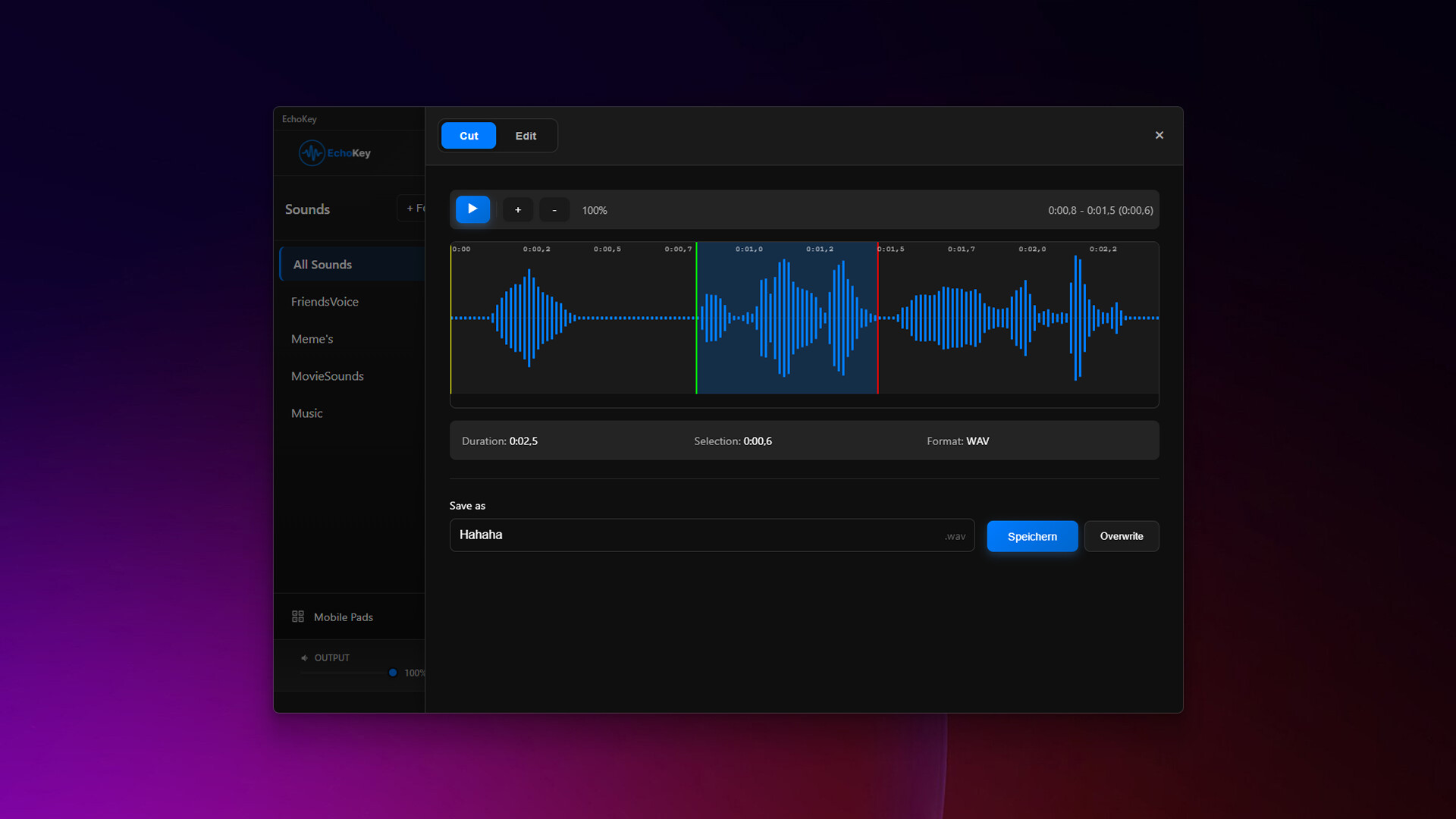 EchoKey screenshot 11