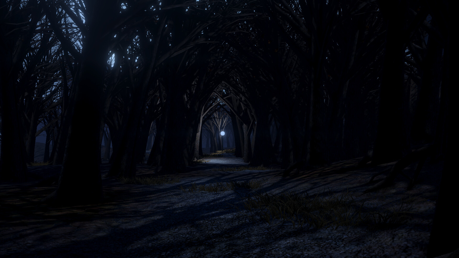The Night Walk screenshot 6