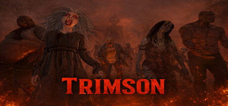 Trimson — Steam header