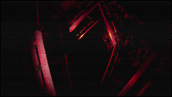 TARO IS BACK screenshot 7