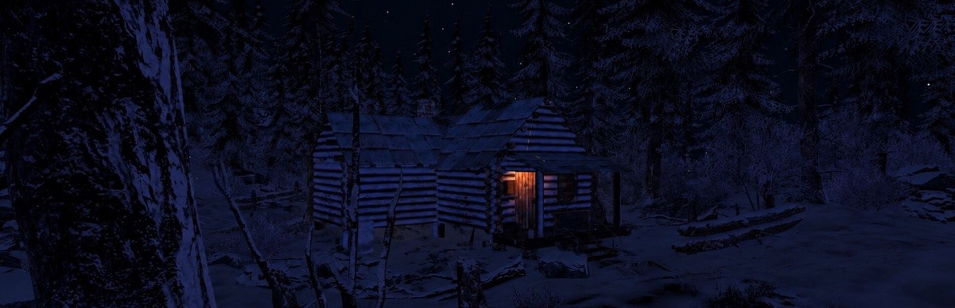 The Frozen Cabin