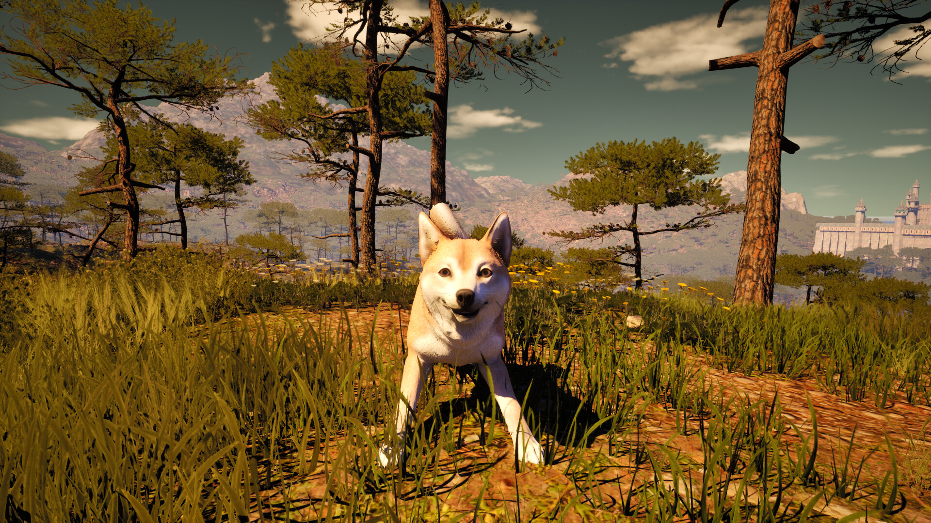 Medieval Shepherd screenshot 2