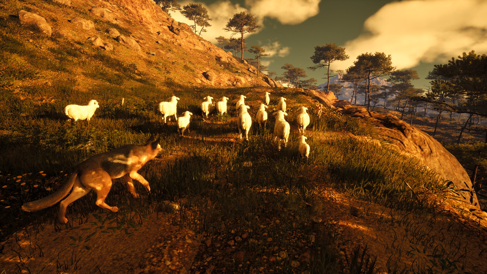 Medieval Shepherd screenshot 1
