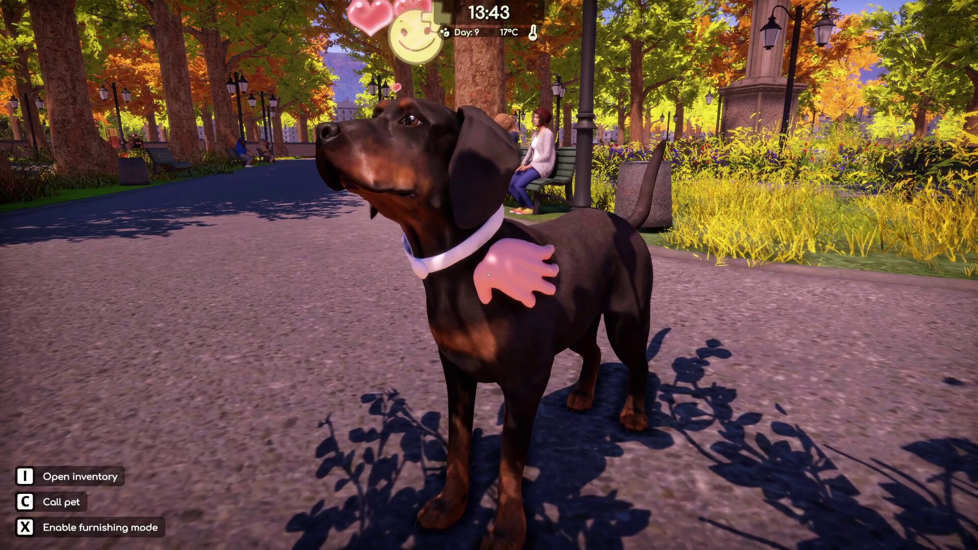 Animal Shelter 2 - Hunting Dogs Pack screenshot 17