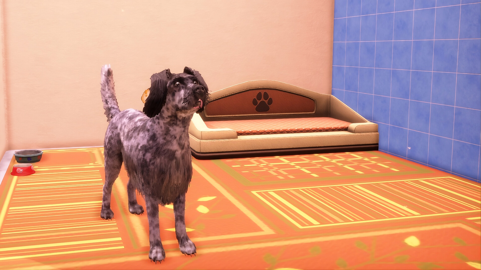 Animal Shelter 2 - Hunting Dogs Pack screenshot 7