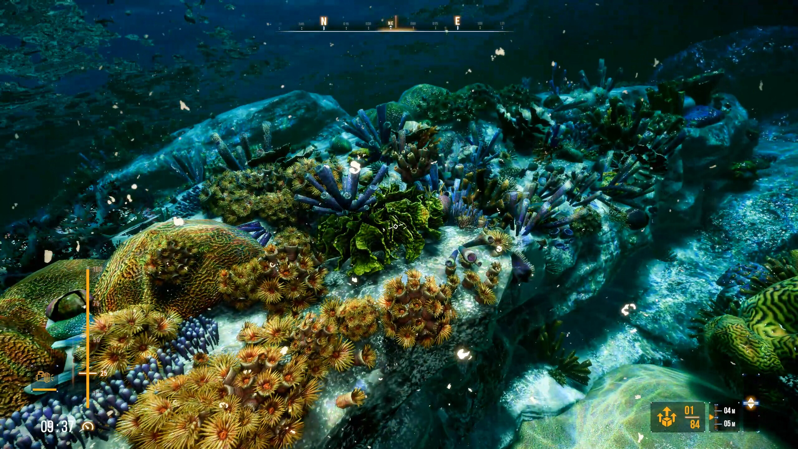 Deep Diving Adventures 2 screenshot 7