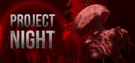 Project Night