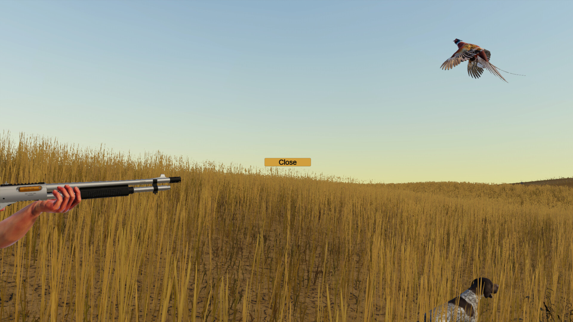 Birdshot screenshot 1