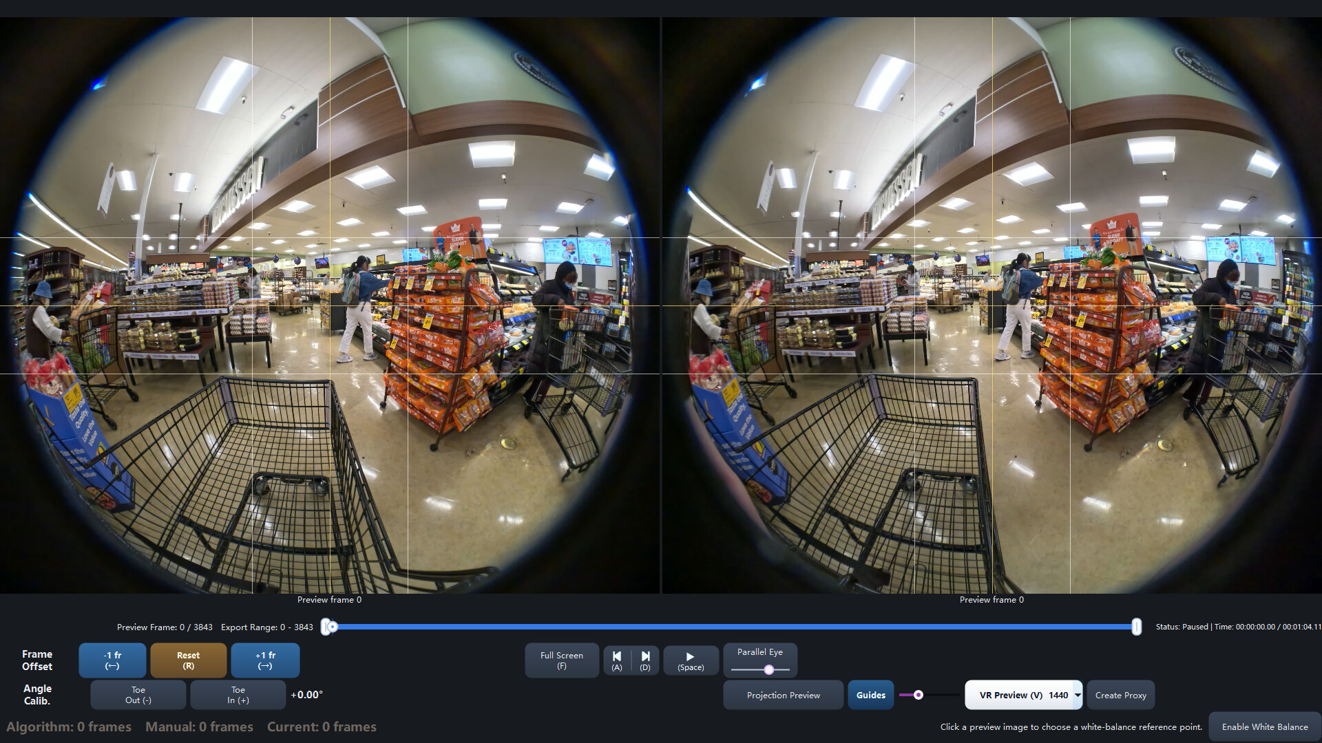 VR180 SyncPro screenshot 4
