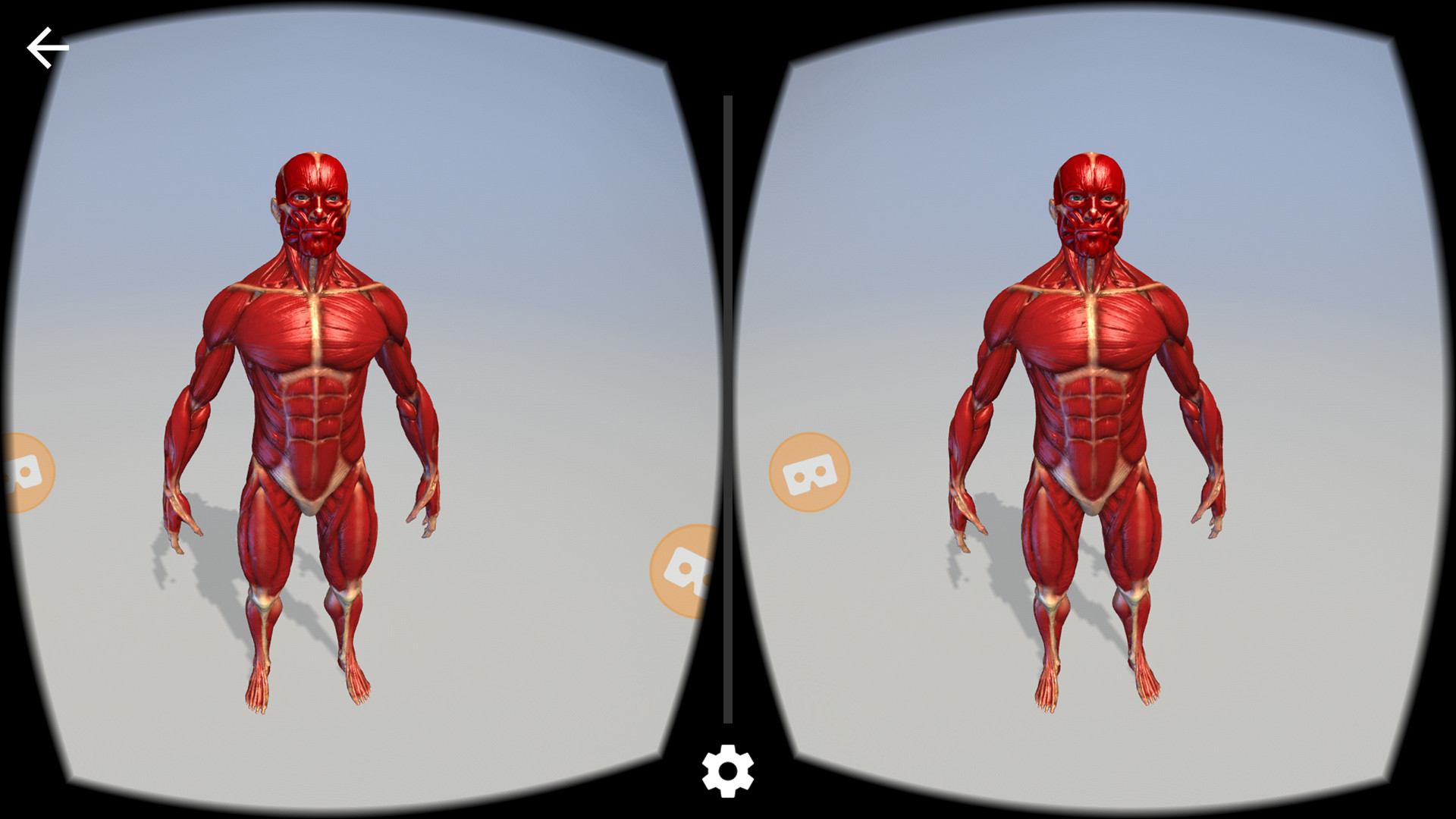Sketchfab VR screenshot 6