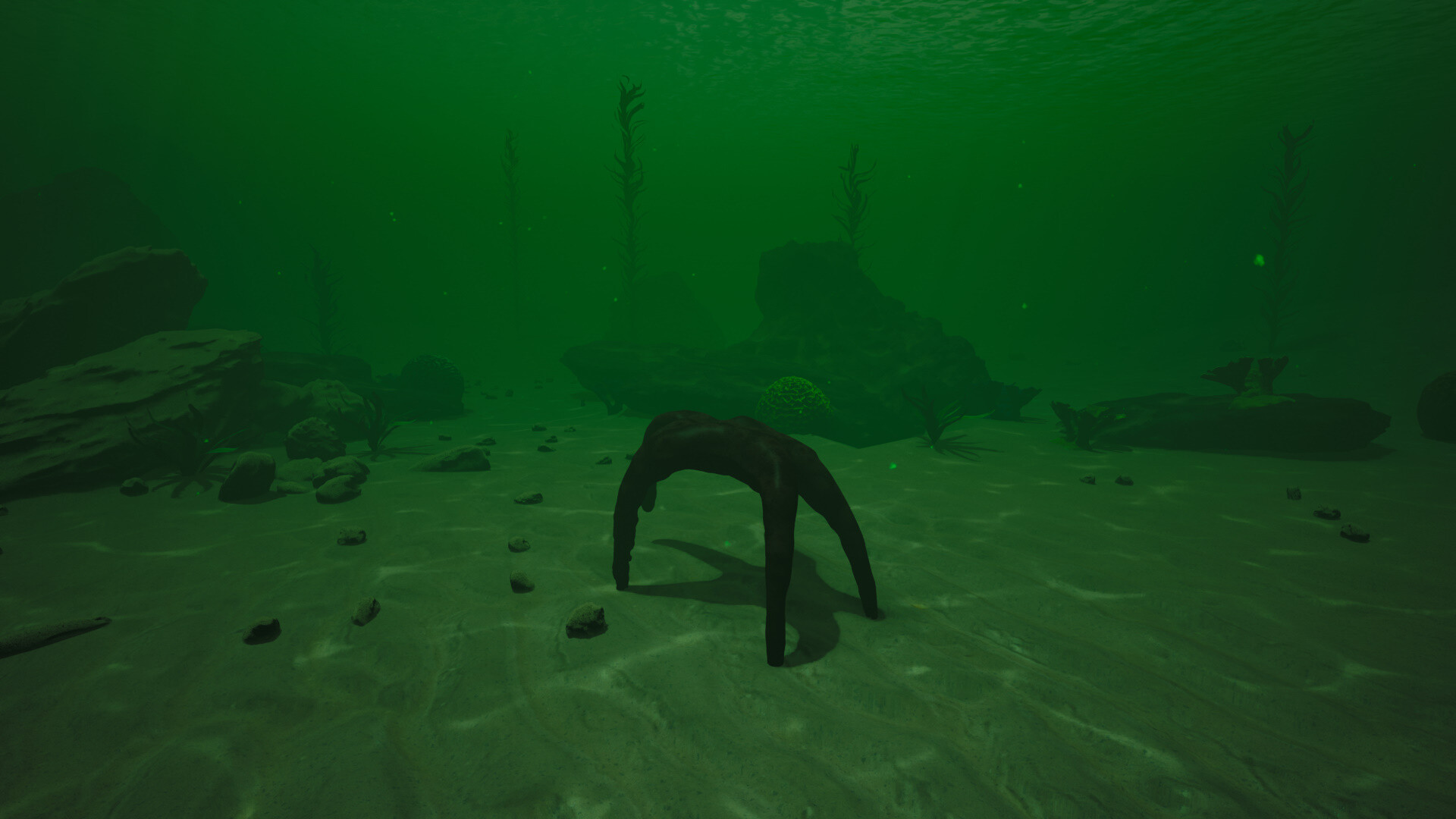 Starfish Simulator 👍 screenshot 3